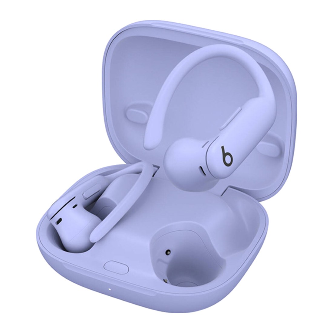 Beats Powerbeats Pro 2 Purple