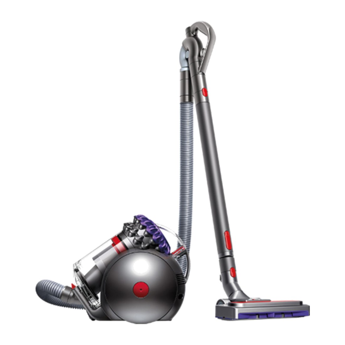 Dyson Big Ball Parquet 2