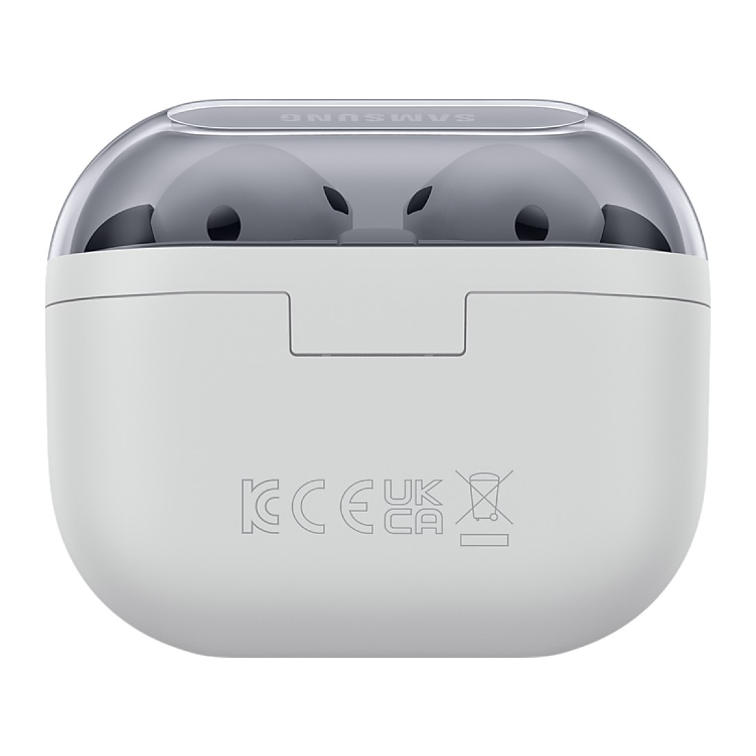 Galaxy Buds 3 FE Gray