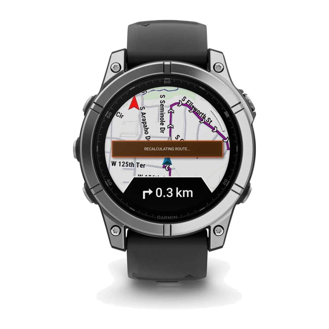 Garmin Fenix E (47mm) Silver with Black Band