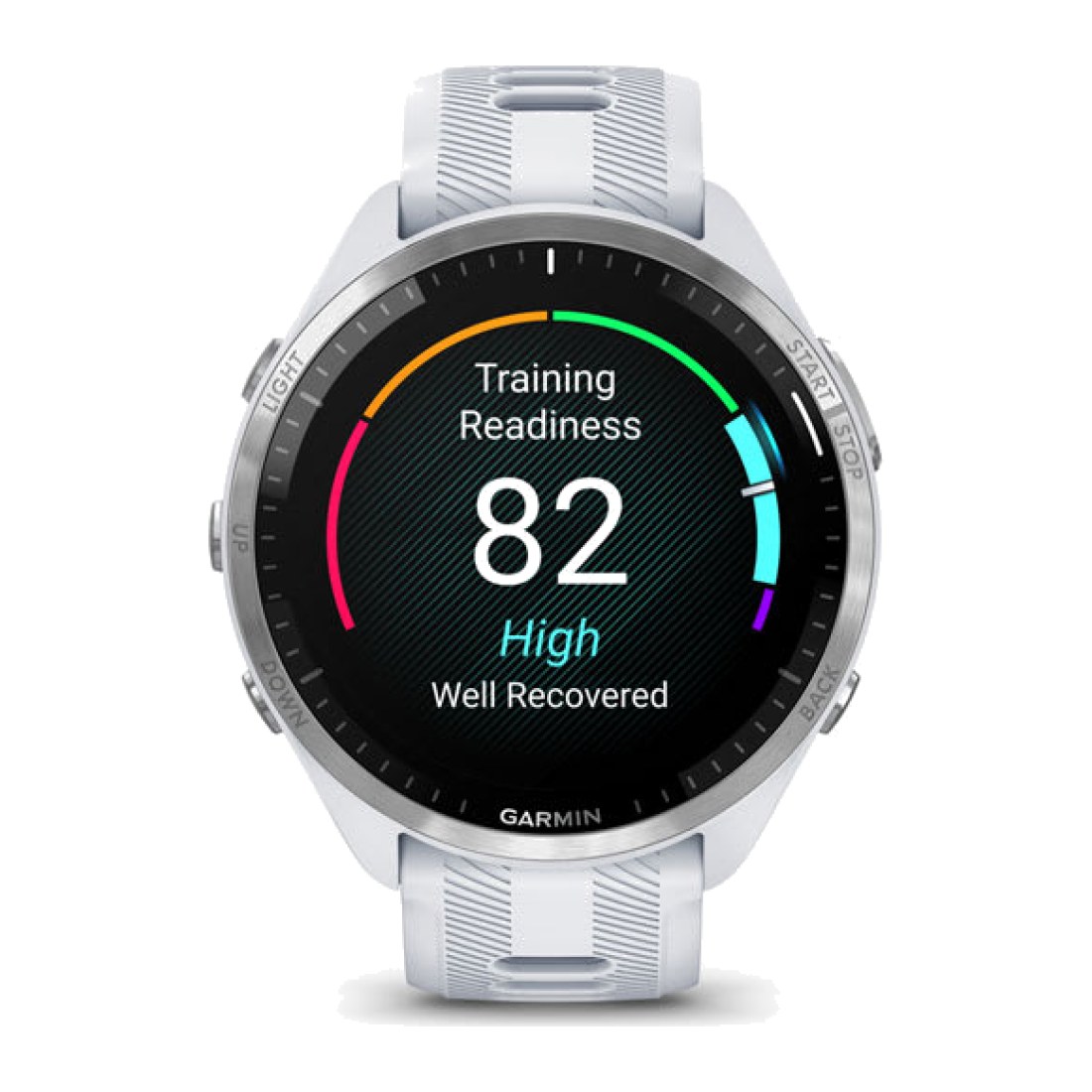 Garmin Forerunner 965 (47mm) Amoled Silver wt White Band