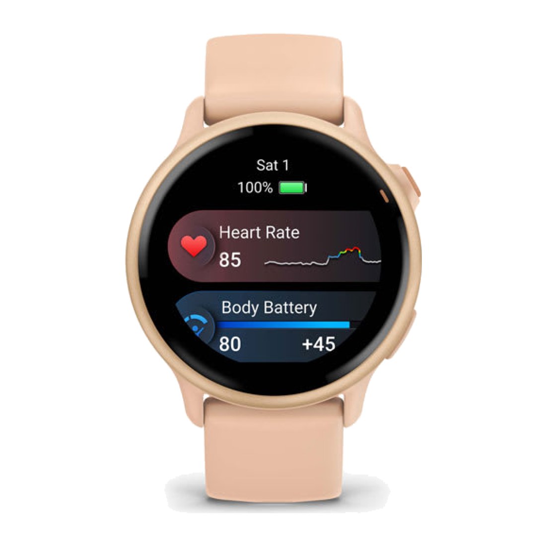 Garmin Vivoactive 6 (42mm) Pink