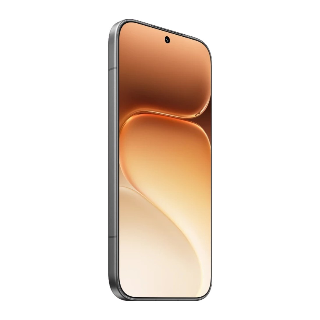 Honor 600 Pro 12/256 Black