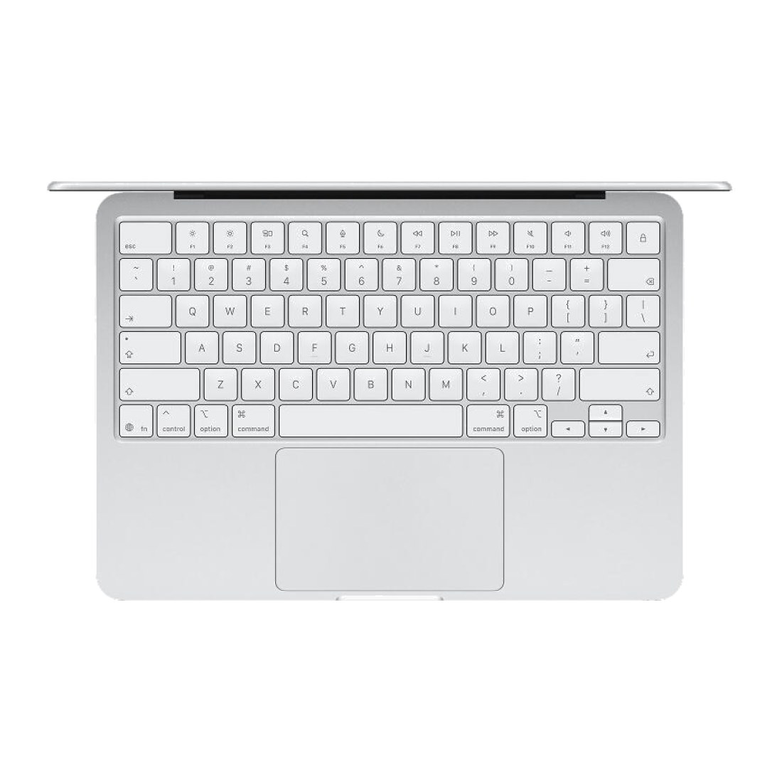 MacBook Neo 8/256 Silver
