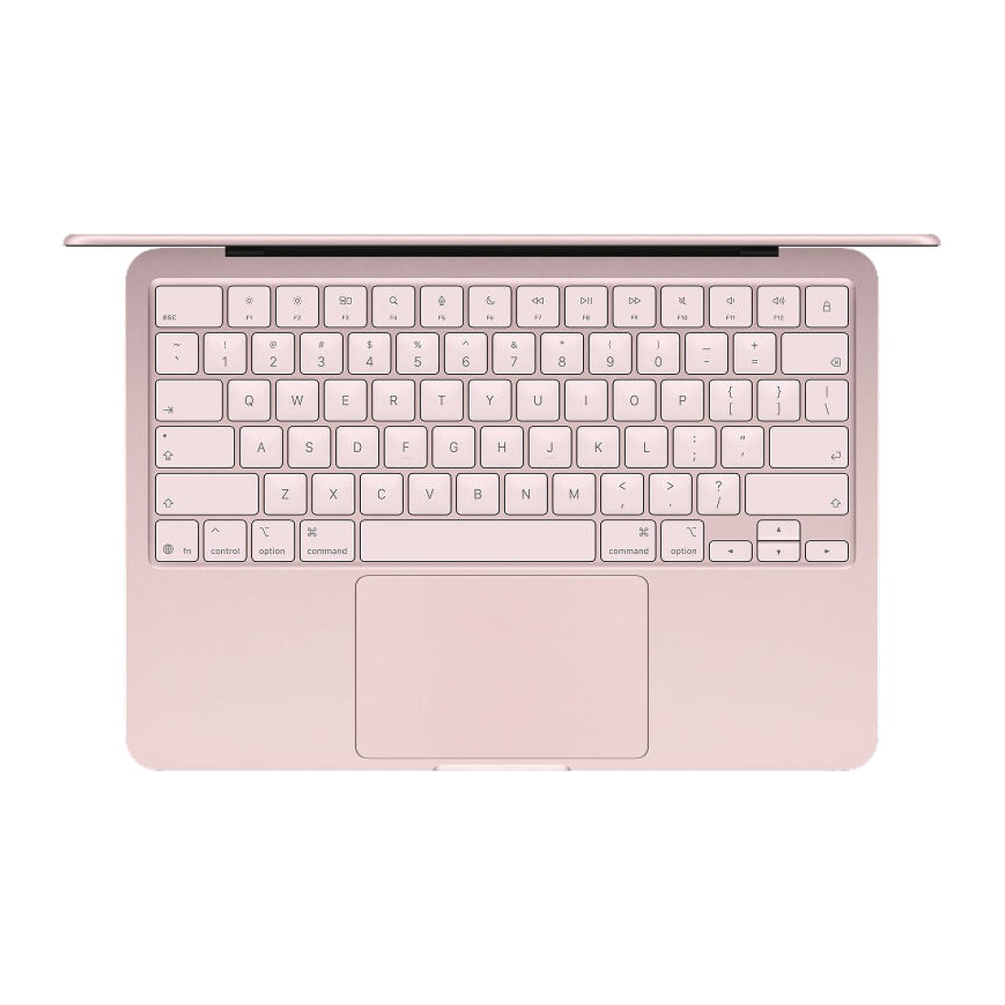 MacBook Neo 8/256 Blush