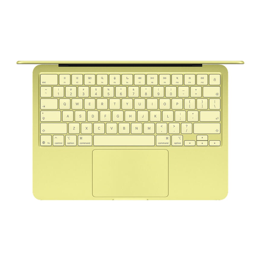 MacBook Neo 8/256 Citrus