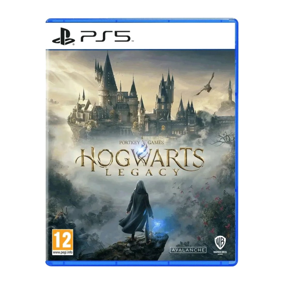 PS5 Hogwarts Legacy (суб)